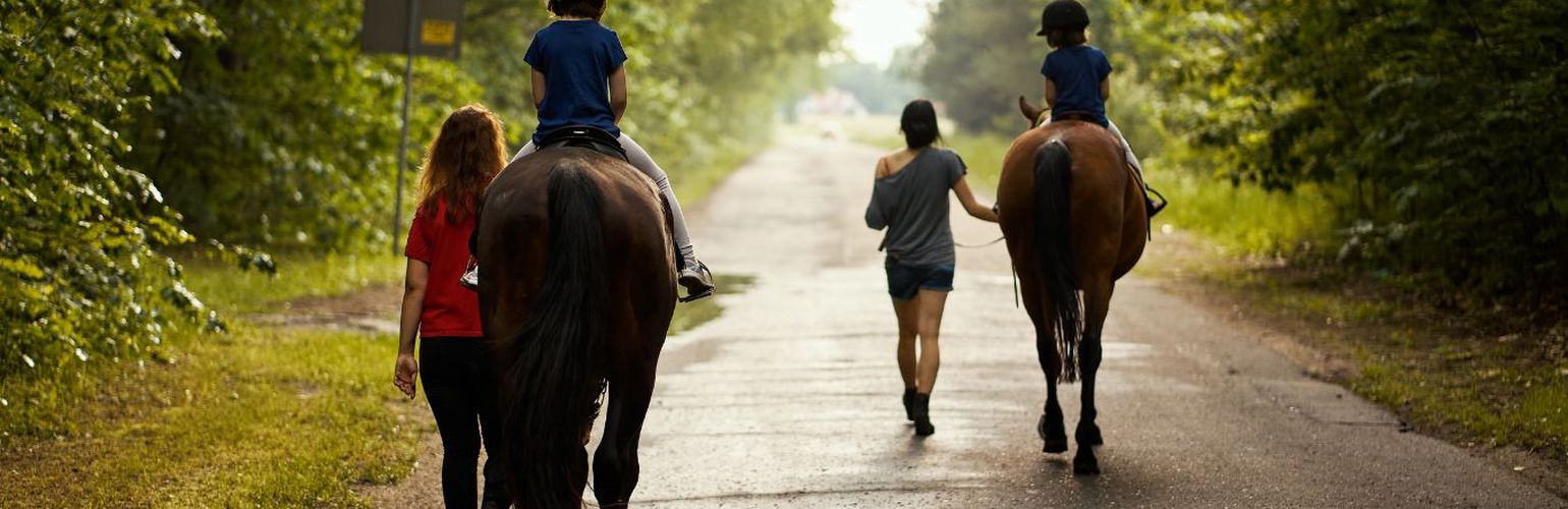 Esperienza a Cavallo